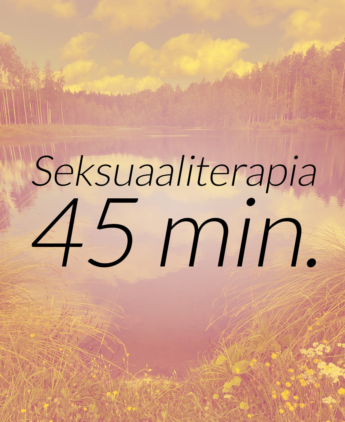 Seksuaaliterapia 45 min.