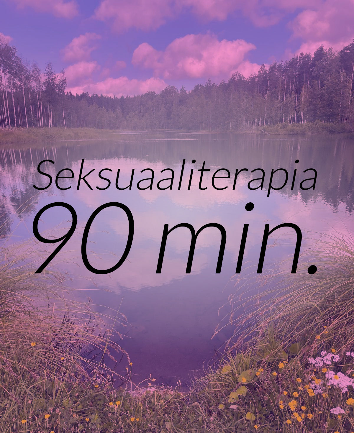 Seksuaaliterapia 90 min.